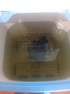 Ванна моечная передвижная на 20 литров для ТНВД